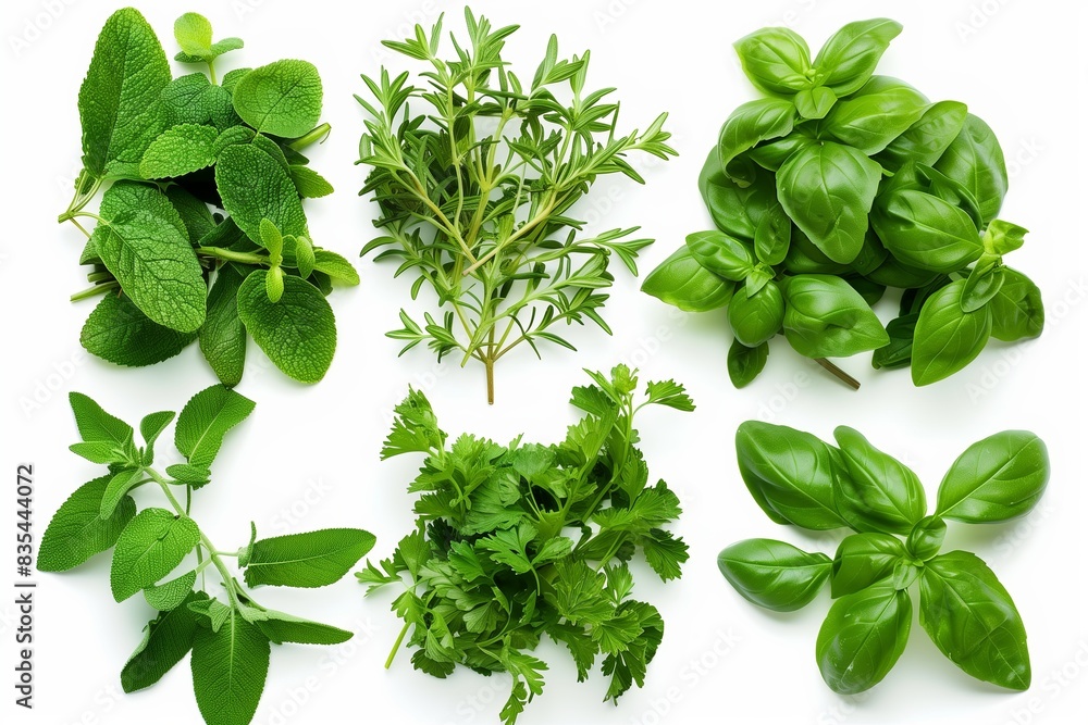 Fresh organic herbs and spices isolated on white background Fresh organic herbs and spices isolated on white background