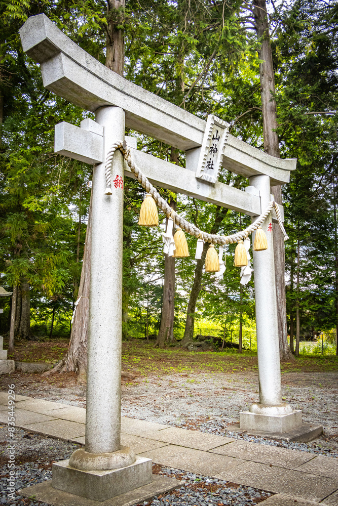 Arakura Fuji Sengen Shrine, torii, gates, vermilion, mount fuji, chureito pagoda, japan