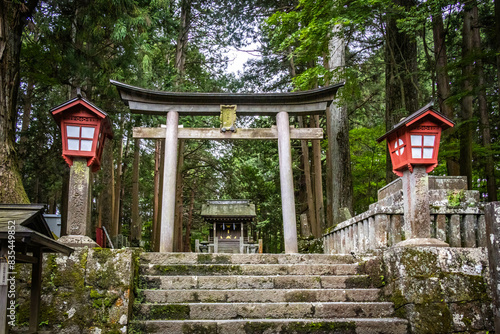 Kitaguchi Hongu Fuji Sengen Shrine, torii gate, shrine, mount fuji, shinto shrine, forest shrine, fujisan, japan- photo