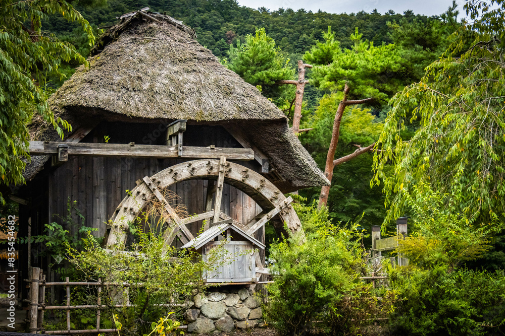 Saiko Iyashi-no-Sato Nenba, traditional japanese village, thatched roof, mount fuji, fuji Five lakes, japan, open-air museum Saiko Iyashi-no-Sato Nenba, traditional japanese village, thatched roof, mount fuji, fuji Five lakes, japan, open-air museum