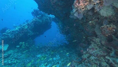 Swimming through underwater cave tunnel with tropical fish species. Exotic coralfish in coral reef cavern undersea. Marine life exploration photo