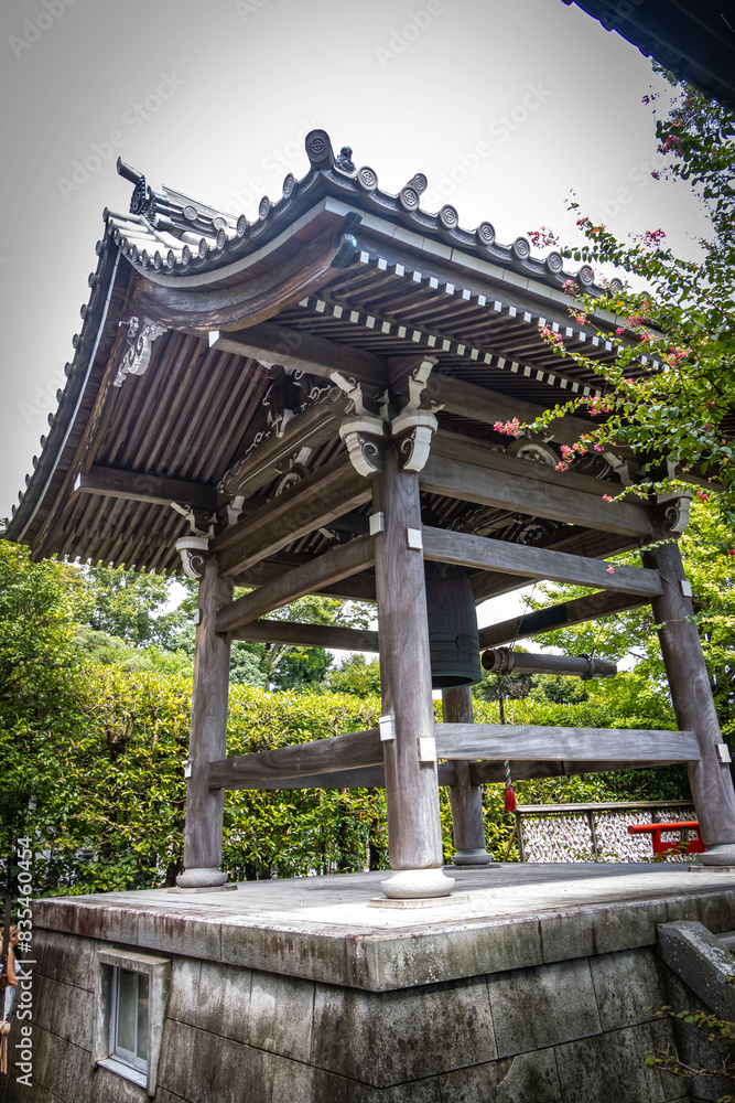 hasedera temple, hase-dera, kamakura, tree, japan, buddhist temple hasedera temple, hase-dera, kamakura, tree, japan, buddhist temple