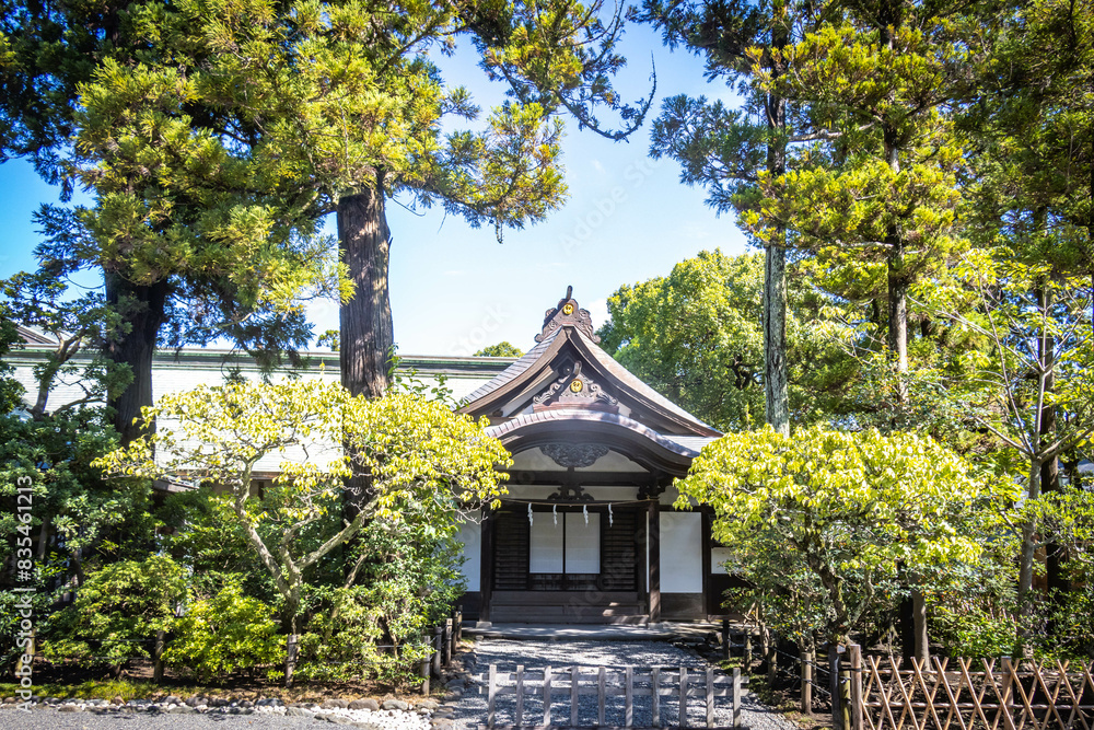 tsurugaoka hachiman-gu, shinto shrine, kamakura, japan, worship, tsurugaoka hachiman-gu, shinto shrine, kamakura, japan, worship,