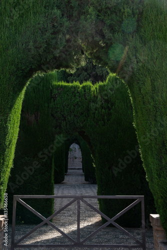 Generalife gardens of Alhambra in Granada Spain