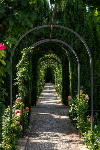 Generalife gardens of Alhambra in Granada Spain