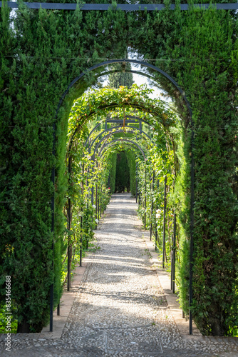Generalife gardens of Alhambra in Granada Spain