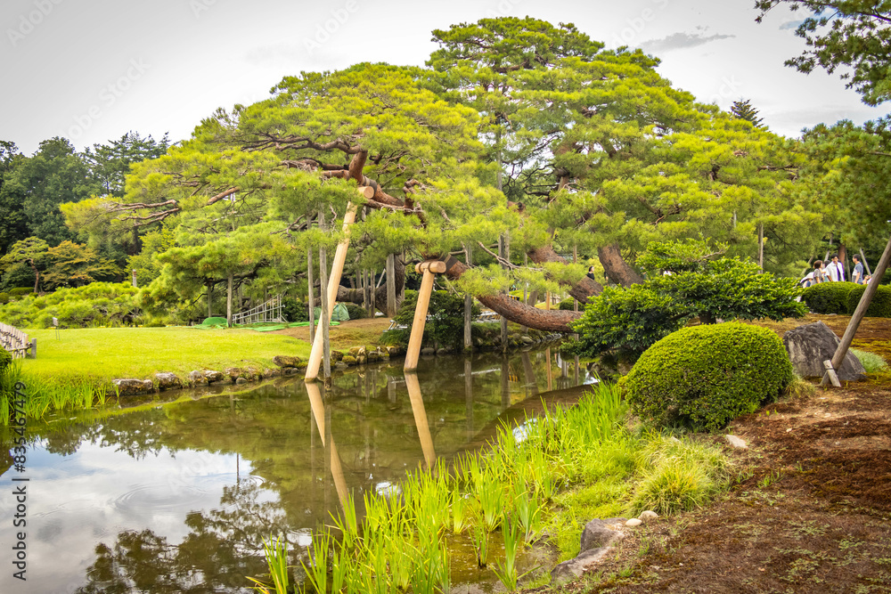pond in the park, kenrokuen, kenroku-en, kanazawa, japan, three great gardens, japanese garden, zen garden pond in the park, kenrokuen, kenroku-en, kanazawa, japan, three great gardens, japanese garden, zen garden
