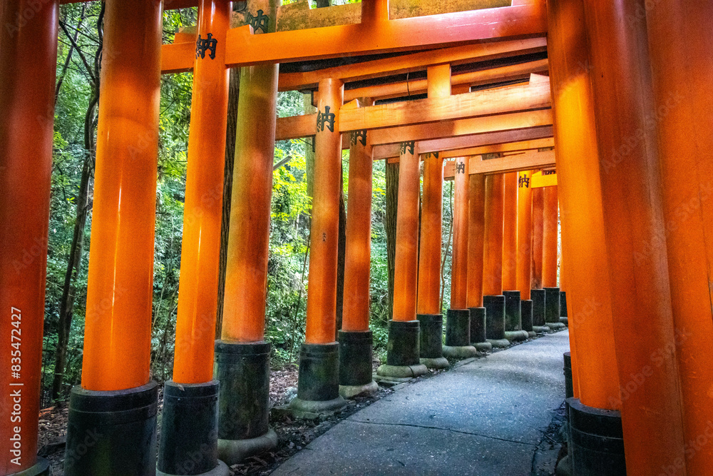 fushimi inari taisha, fushimi inari, kyoto, torii, gates, vermilion, pathway, japan, temple, shrine fushimi inari taisha, fushimi inari, kyoto, torii, gates, vermilion, pathway, japan, temple, shrine