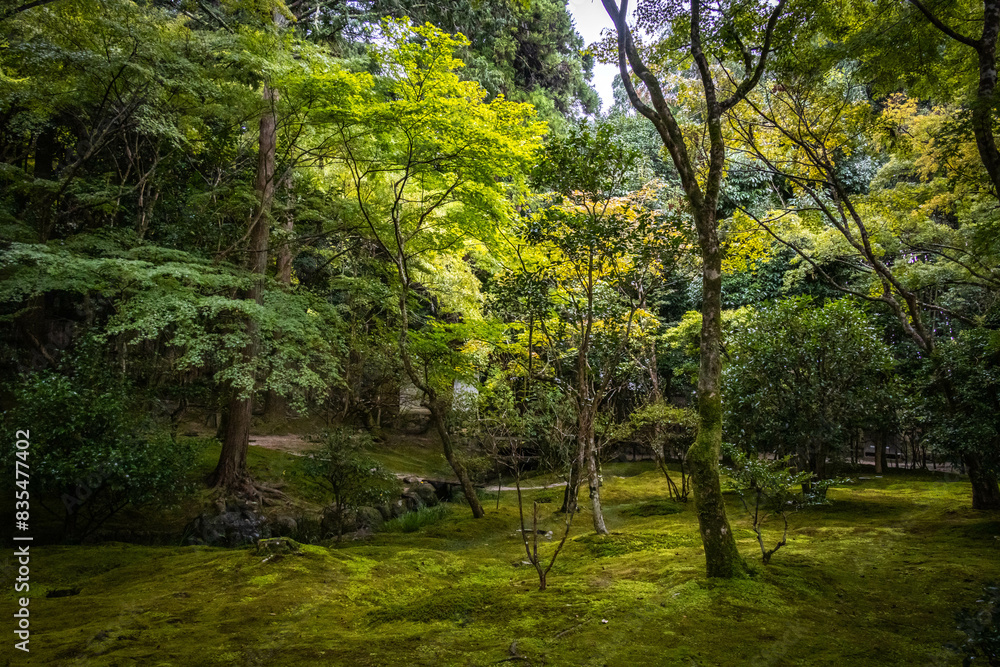ginkaku-ji temple, ginkakuji, silver pavilion, kyoto, japan, buddhism, pond, japanese garden ginkaku-ji temple, ginkakuji, silver pavilion, kyoto, japan, buddhism, pond, japanese garden