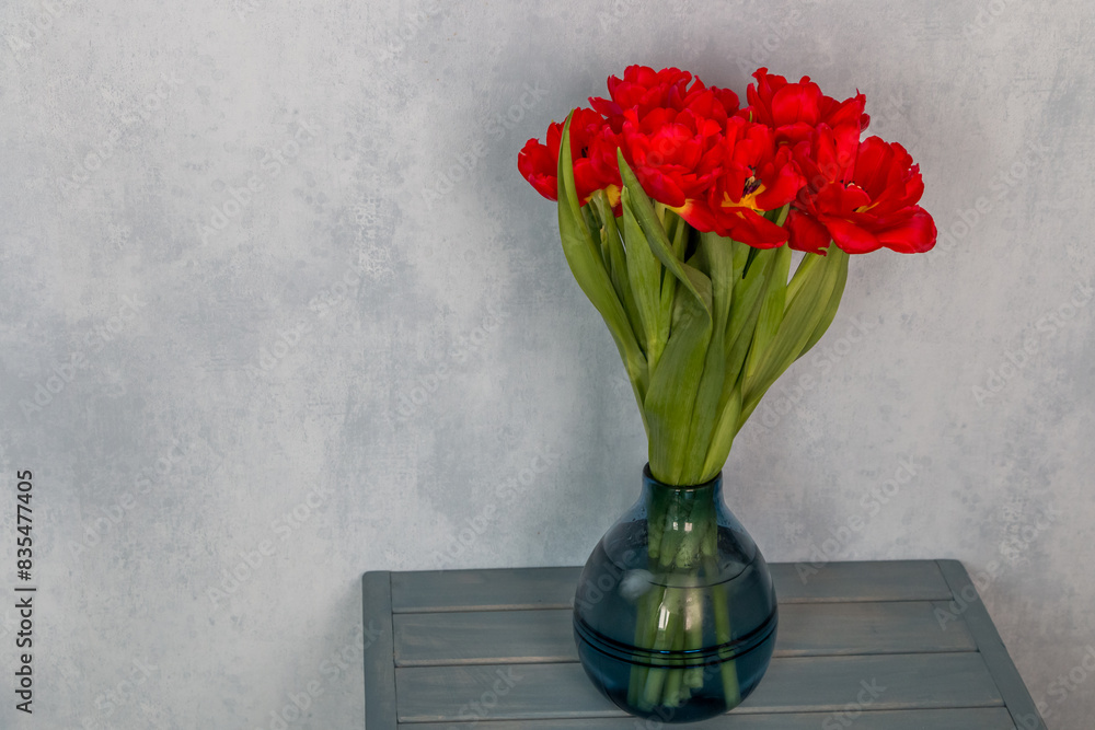 bouquet of red Tulips in a blue glass vase on a blue background
bouquet of red Tulips in a blue glass vase on a blue background