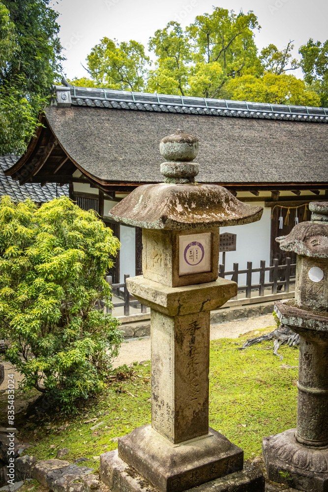 kasuga taisha shrine, nara, temple, lanterns, moss, stone lanterns, park, japan, asia kasuga taisha shrine, nara, temple, lanterns, moss, stone lanterns, park, japan, asia