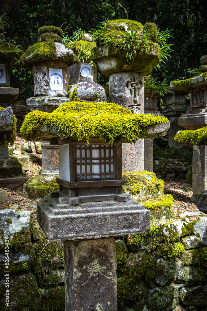 kasuga taisha shrine, nara, temple, lanterns, moss, stone lanterns, park, japan, asia kasuga taisha shrine, nara, temple, lanterns, moss, stone lanterns, park, japan, asia