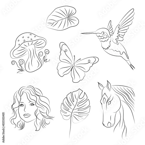 Pack de recursos gráficos siluetas arte lineal naturaleza animales plantas a mano alzada vector