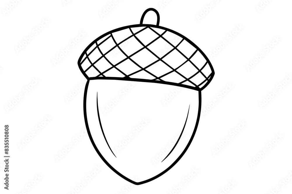 acorn line art vector illustration acorn line art vector illustration