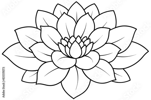 whimsical line art looking flowers vector illustration