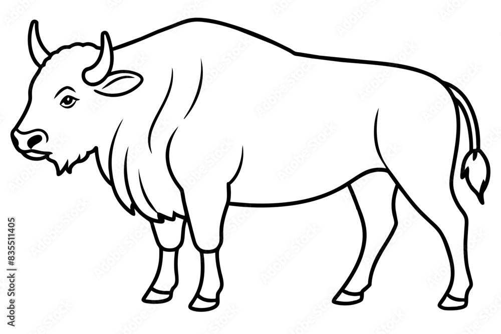 bison line art vector illustration 