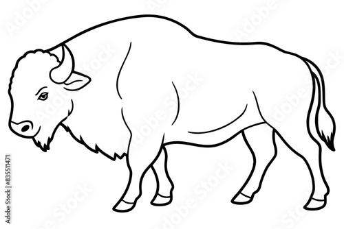 bison line art vector illustration  © Jutish