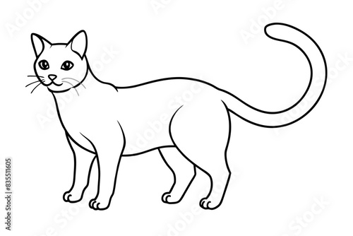 line art of a cat