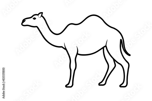camel line art vector illustration