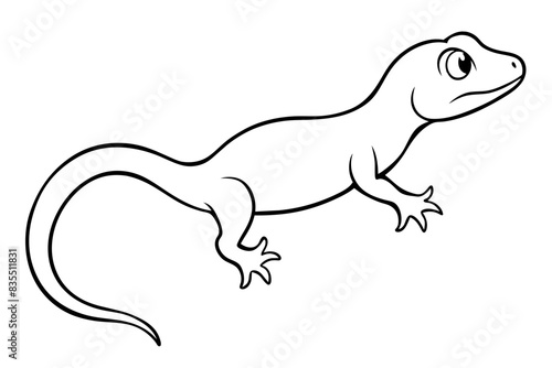 gecko vector illustration
