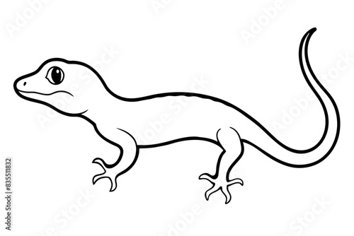 gecko vector illustration © Jutish