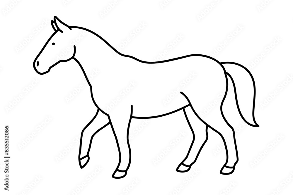 Fototapeta premium horse line art vector illustration 