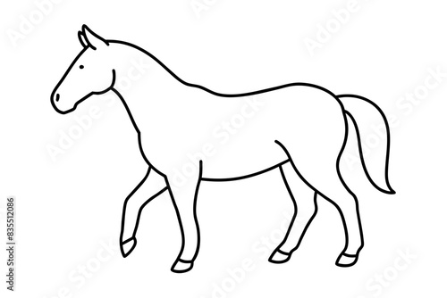 horse line art vector illustration 