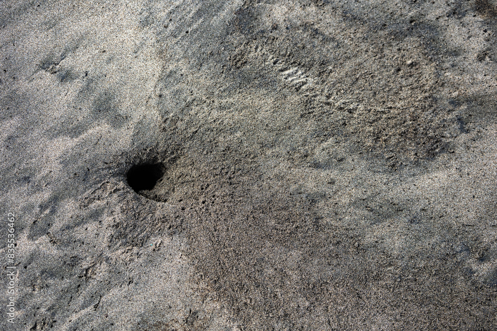 Crab hole on an oil-polluted beach, depicting a devastating natural disaster and environmental crisis Crab hole on an oil-polluted beach, depicting a devastating natural disaster and environmental crisis