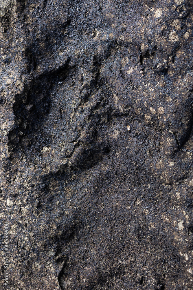 Close-up of beach sand stained with oil residue from an oil spill, showing the environmental impact on the shoreline Close-up of beach sand stained with oil residue from an oil spill, showing the environmental impact on the shoreline