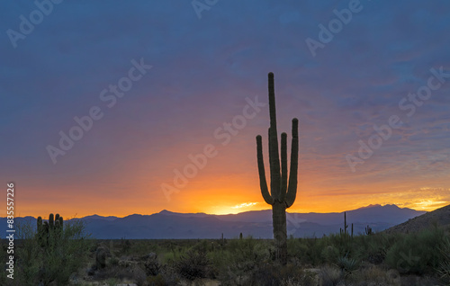 AZ Desert Sunrise Landscape With Mountains & Saguaro Cactus