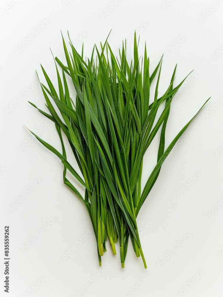Fototapeta premium A close-up shot of a bunch of fresh cut green grass on a white surface