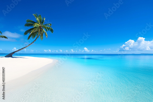 Palm tree on a pristine white sand beach with clear blue water and a sunny sky perfect for a tropical paradise