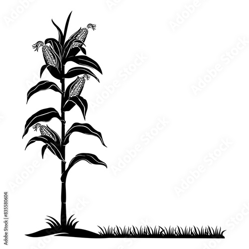 corn plant vector