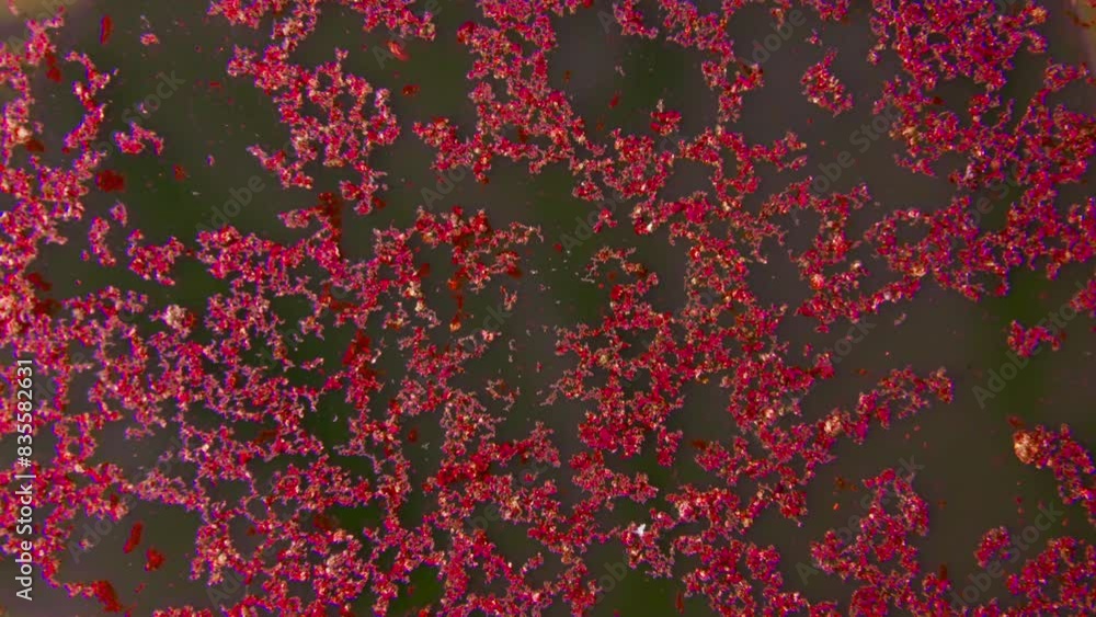 Red crystals moving in liquid background. Red crystals moving in liquid background.
