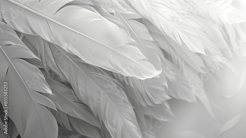 Wallpaper Mural White color soft feathers background Torontodigital.ca