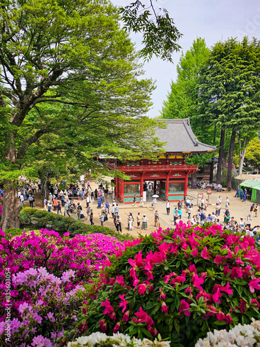 Nezu Shrine Romon Gate photo