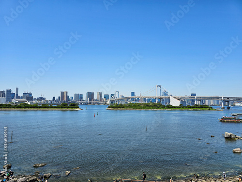 Tableau sur toile Tokyo Bay