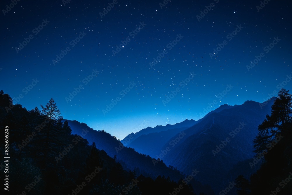 Naklejka premium Silhouetted trees against dark sky and mountain backdrop. Evening landscape concept
