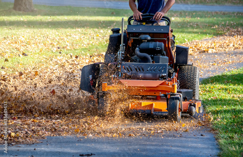 Fall yard clean up with a worker on a leaf mulcher