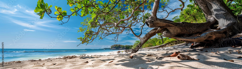 beach, sand with a big tree branch, and some green tropical leaves. Blue sky background