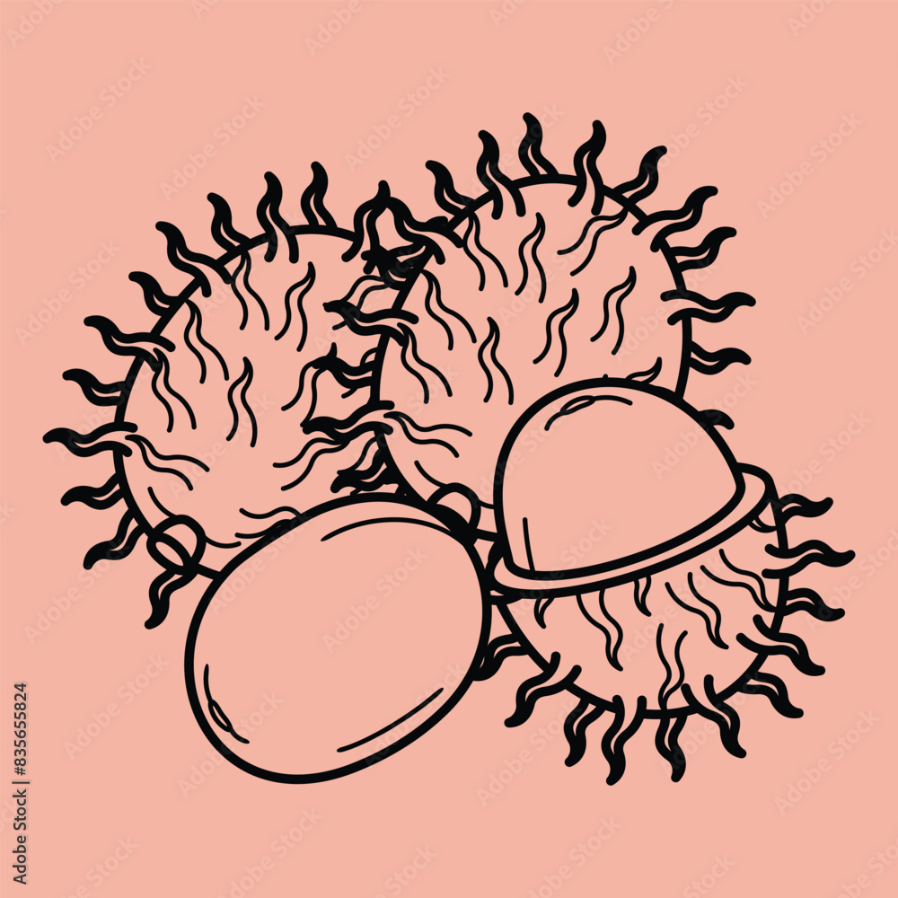 Line Art Outline Slice Tropical Exotic Fruits Line Art Outline Slice Tropical Exotic Fruits