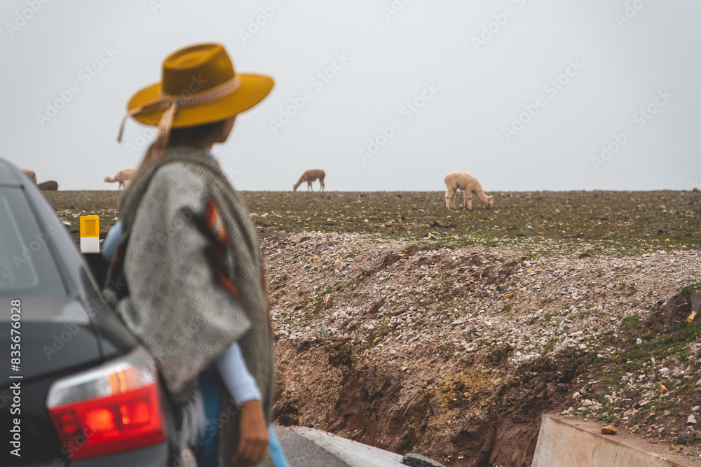 Obraz premium A woman wearing a yellow hat stands on the side of a road watching a herd of she. rock megalithic. Huayllay Stone Forest, Peru.