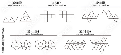 様々な形の正多面体の展開図のベクターイラストセット
