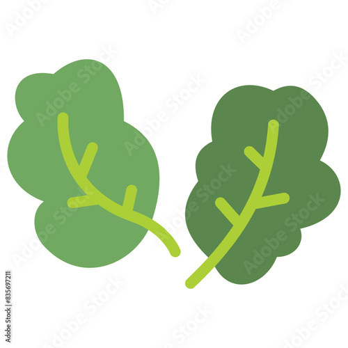 kale flat icon
