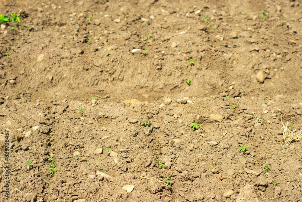 Empty farm field soil, plowed soil in a summer day Empty farm field soil, plowed soil in a summer day