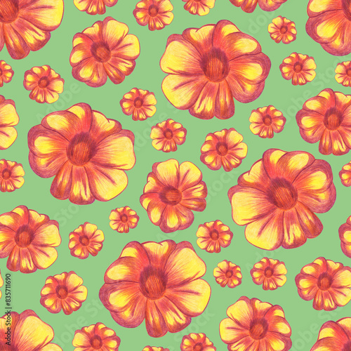 Marigold Flower Seamless Pattern. Hand Drawn Floral Digital Paper on Green Background.