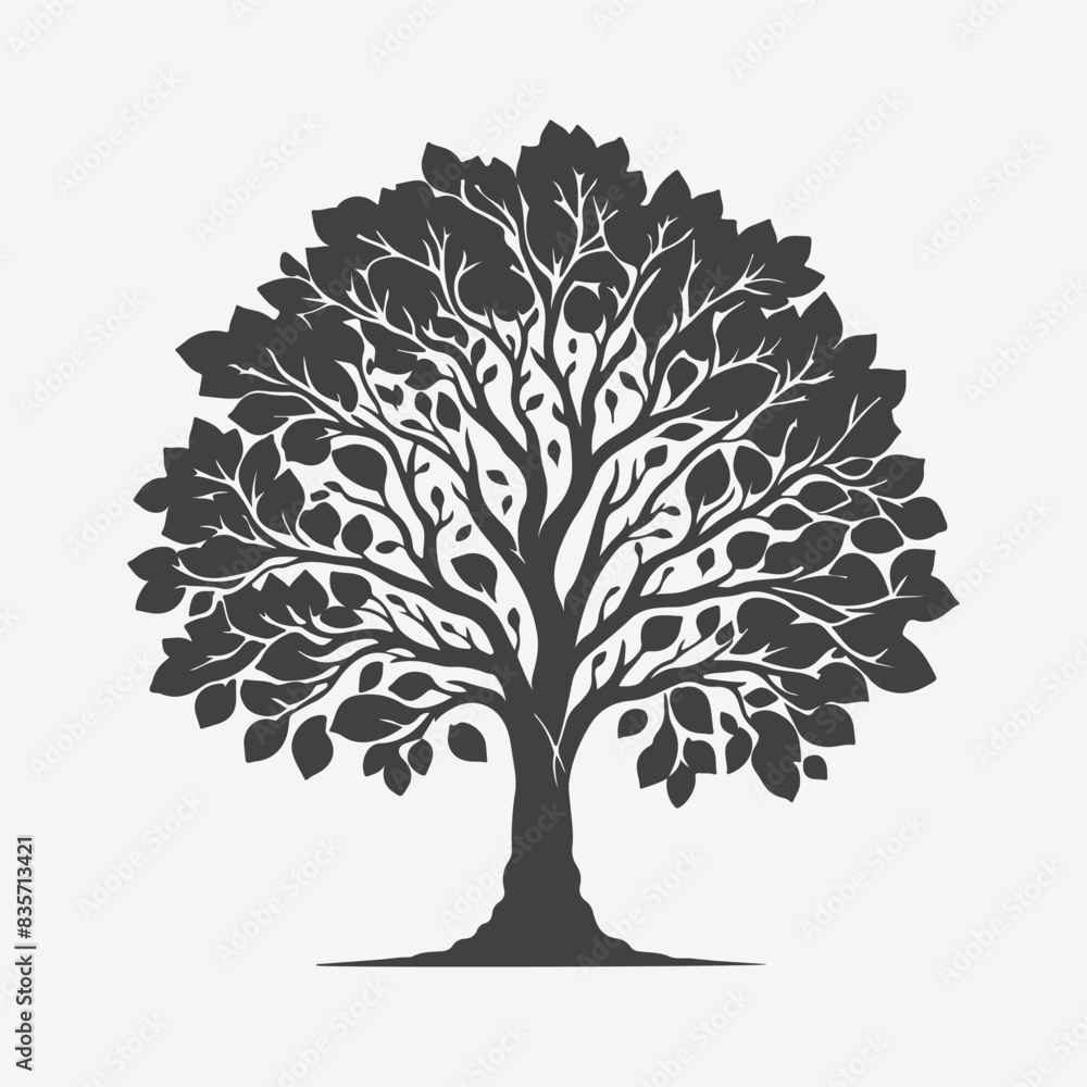 Naklejka premium Print Majestic Silhouette of the Butternut Tree, A Timeless Natural Beauty