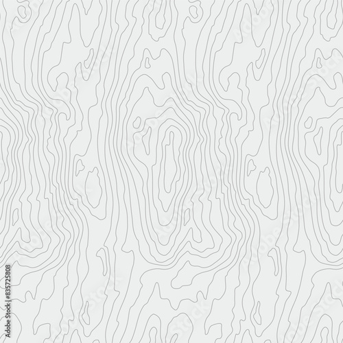 Wood grain white texture. S...
