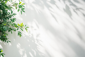 Minimalistic light background with blurred foliage shadow on white wall. Beautiful Dayllght