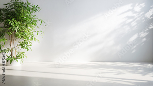 Minimalistic light background with blurred foliage shadow on white wall. Beautiful background